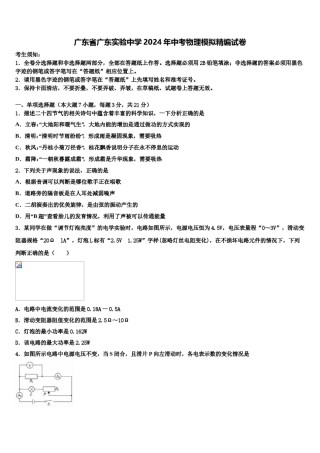 广东省广东实验中学2024年中考物理模拟精编试卷含解析.doc