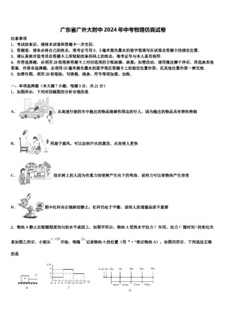 广东省广外大附中2024年中考物理仿真试卷含解析.doc