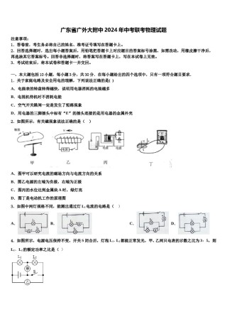 广东省广外大附中2024年中考联考物理试题含解析.doc