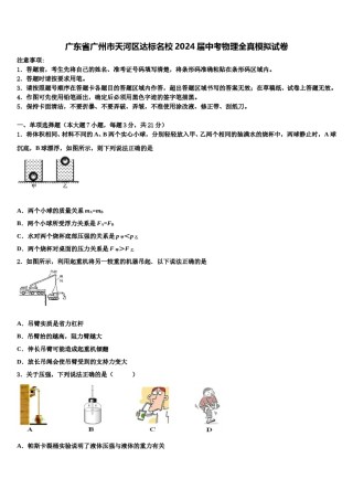广东省广州市天河区达标名校2024届中考物理全真模拟试卷含解析.doc