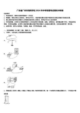 广东省广州市海鸥学校2024年中考物理考试模拟冲刺卷含解析.doc