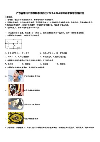 广东省惠州市博罗县市级名校2023-2024学年中考联考物理试题含解析.doc