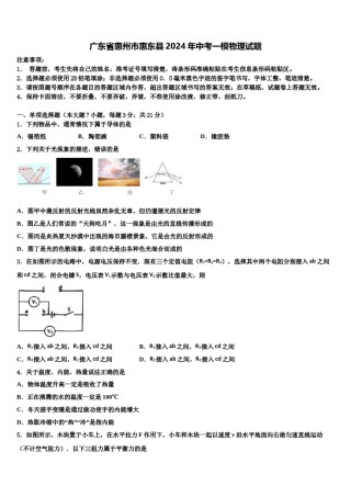 广东省惠州市惠东县2024年中考一模物理试题含解析.doc