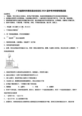 广东省惠州市惠东县达标名校2024届中考冲刺卷物理试题含解析.doc