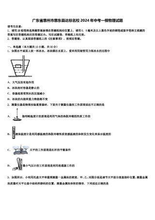 广东省惠州市惠东县达标名校2024年中考一模物理试题含解析.doc