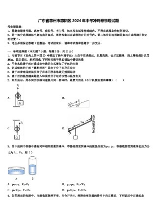 广东省惠州市惠阳区2024年中考冲刺卷物理试题含解析.doc