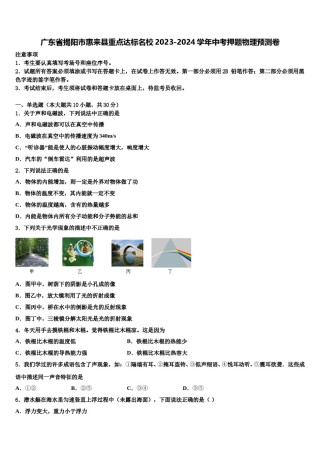 广东省揭阳市惠来县重点达标名校2023-2024学年中考押题物理预测卷含解析.doc