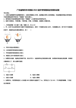 广东省梅州市丰顺县2024届中考物理适应性模拟试题含解析.doc