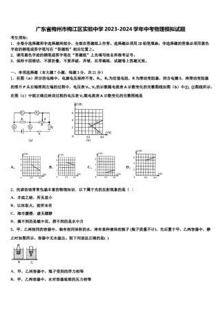 广东省梅州市梅江区实验中学2023-2024学年中考物理模拟试题含解析.doc