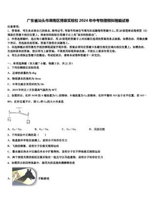 广东省汕头市潮南区博崇实验校2024年中考物理模拟精编试卷含解析.doc