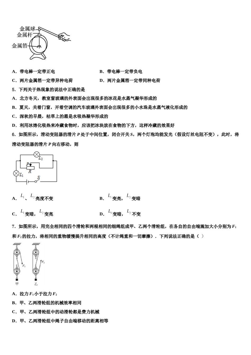 广东省汕头市龙湖实验中学2024年中考物理猜题卷含解析.doc_第2页
