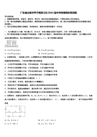 广东省汕尾市甲子镇瀛江校2024届中考物理模拟预测题含解析.doc