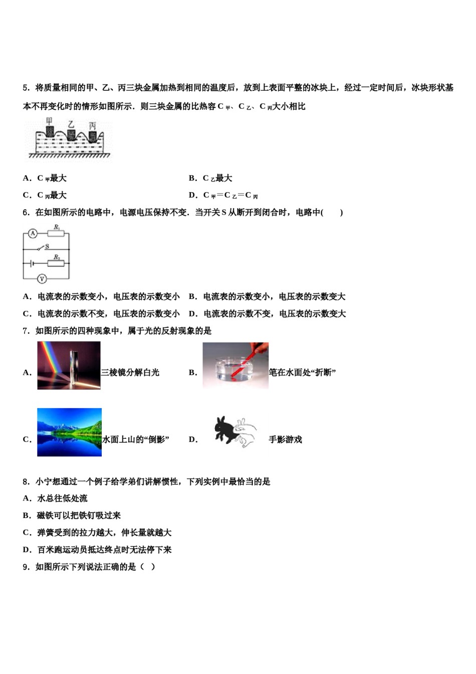 广东省河源市东源县重点中学2024年中考物理押题卷含解析.doc_第2页