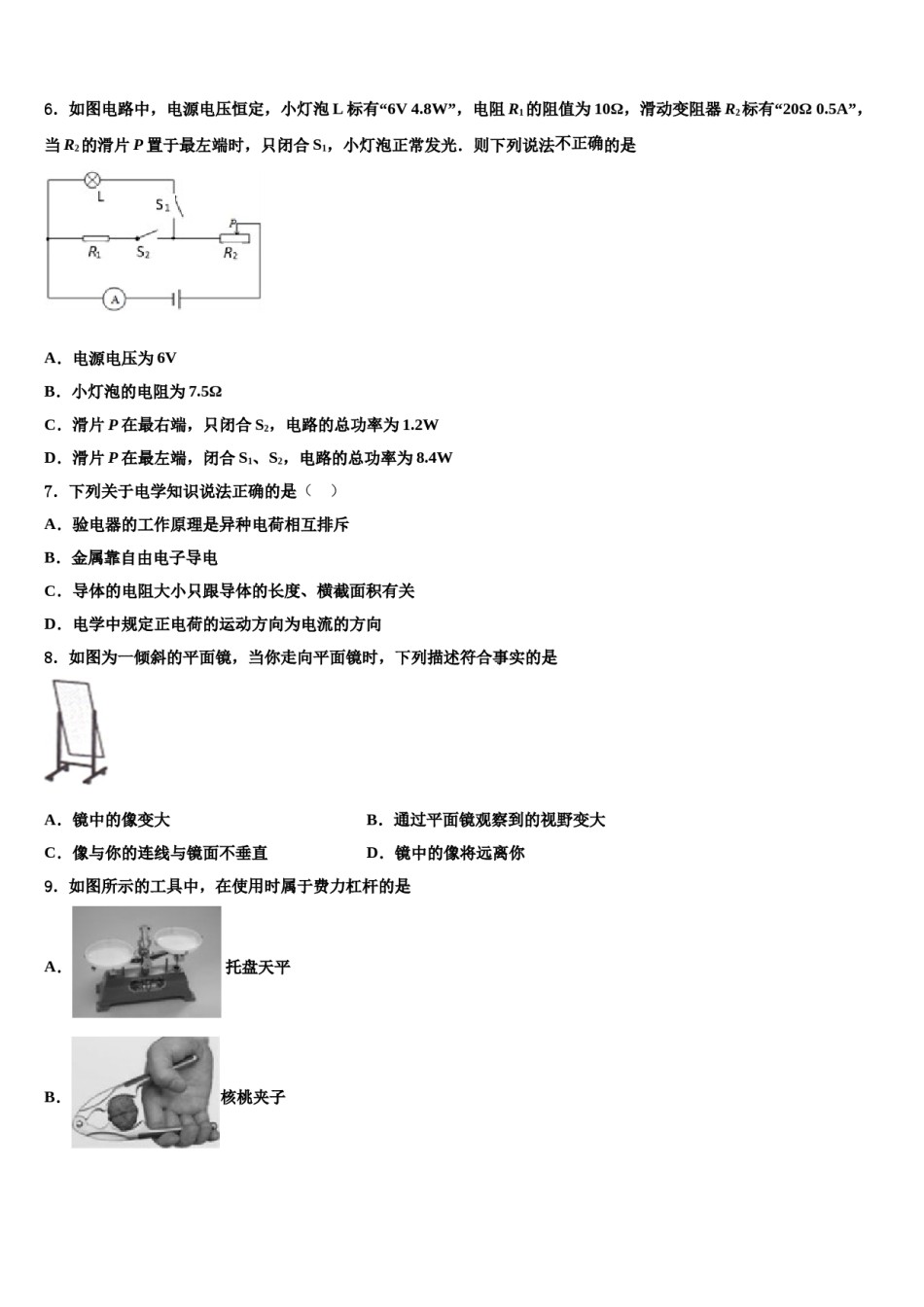 广东省深圳大鹏新区达标名校2023-2024学年中考物理考前最后一卷含解析.doc_第2页