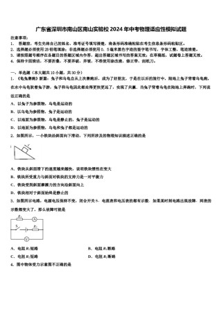 广东省深圳市南山区南山实验校2024年中考物理适应性模拟试题含解析.doc