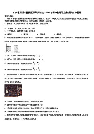 广东省深圳市福田区深圳实验校2024年初中物理毕业考试模拟冲刺卷含解析.doc