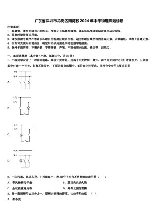 广东省深圳市龙岗区南湾校2024年中考物理押题试卷含解析.doc
