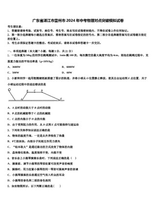 广东省湛江市雷州市2024年中考物理对点突破模拟试卷含解析.doc