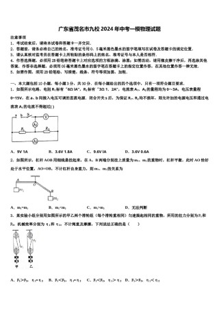 广东省茂名市九校2024年中考一模物理试题含解析.doc