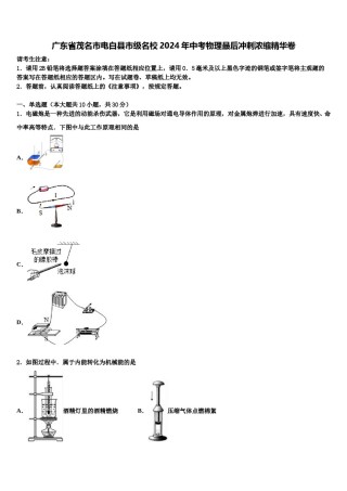 广东省茂名市电白县市级名校2024年中考物理最后冲刺浓缩精华卷含解析.doc