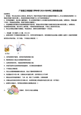 广东阳江市阳春八甲中学2024年中考二模物理试题含解析.doc