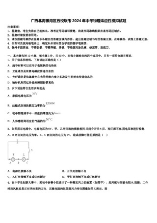 广西北海银海区五校联考2024年中考物理适应性模拟试题含解析.doc