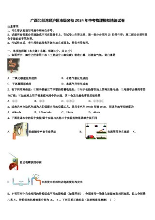 广西北部湾经济区市级名校2024年中考物理模拟精编试卷含解析.doc