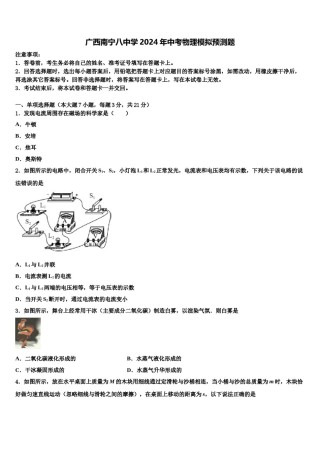 广西南宁八中学2024年中考物理模拟预测题含解析.doc