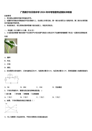 广西南宁市天桃中学2024年中考物理考试模拟冲刺卷含解析.doc