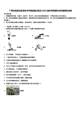 广西壮族自治区百色市平果县重点名校2024届中考物理对点突破模拟试卷含解析.doc
