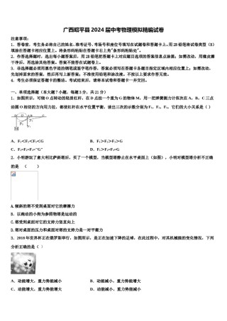 广西昭平县2024届中考物理模拟精编试卷含解析.doc