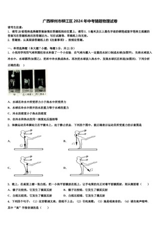 广西柳州市柳江区2024年中考猜题物理试卷含解析.doc