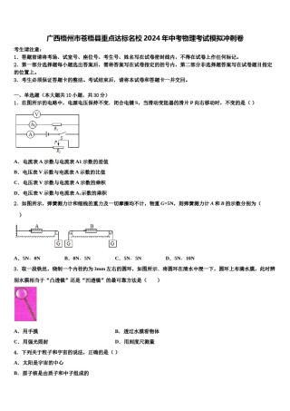 广西梧州市苍梧县重点达标名校2024年中考物理考试模拟冲刺卷含解析.doc