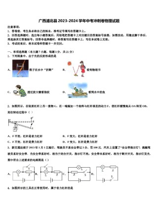 广西浦北县2023-2024学年中考冲刺卷物理试题含解析.doc