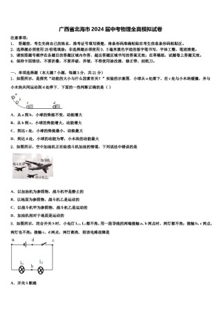 广西省北海市2024届中考物理全真模拟试卷含解析.doc