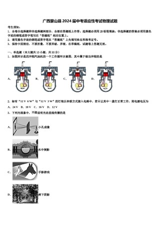 广西蒙山县2024届中考适应性考试物理试题含解析.doc