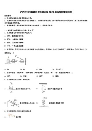 广西钦州市钦南区犀牛脚中学2024年中考物理猜题卷含解析.doc