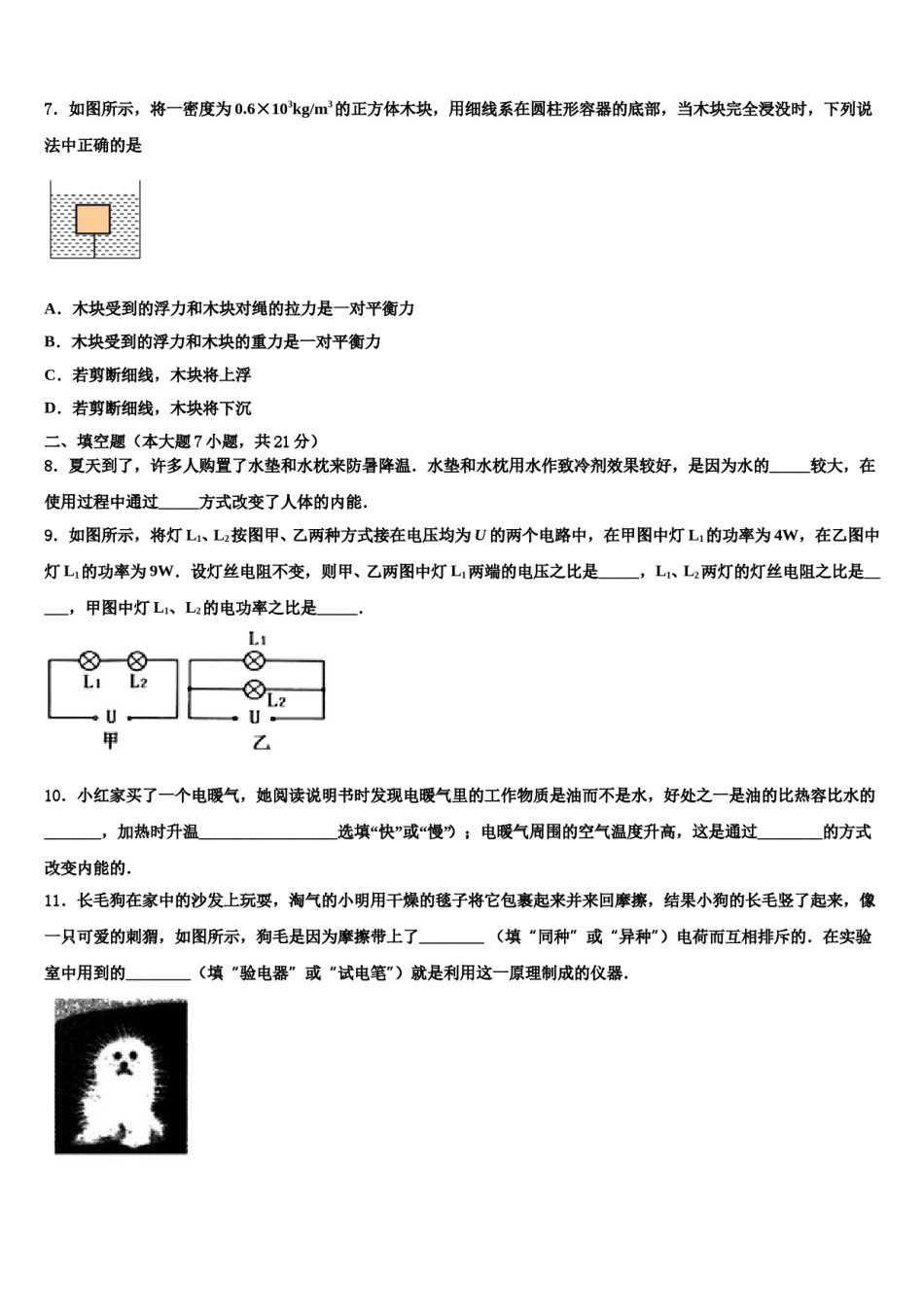 广西钦州市钦州港经济技术开发区2024年中考物理考前最后一卷含解析.doc_第2页