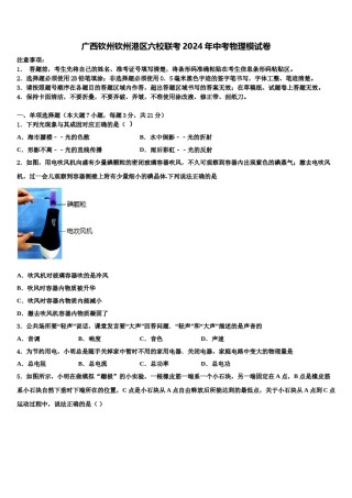 广西钦州钦州港区六校联考2024年中考物理模试卷含解析.doc