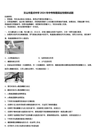 文山市重点中学2024年中考物理适应性模拟试题含解析.doc