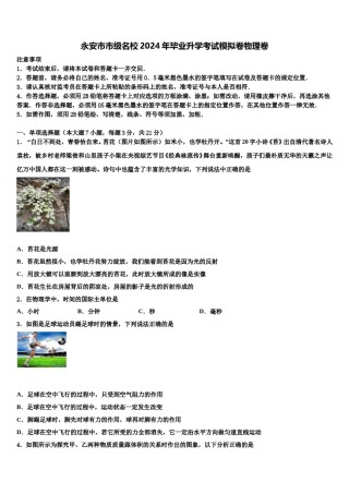 永安市市级名校2024年毕业升学考试模拟卷物理卷含解析.doc