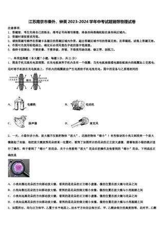 江苏南京市秦外、钟英2023-2024学年中考试题猜想物理试卷含解析.doc