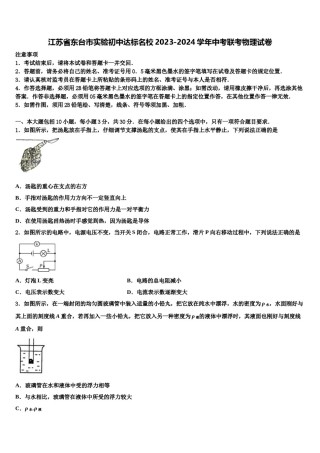 江苏省东台市实验初中达标名校2023-2024学年中考联考物理试卷含解析.doc