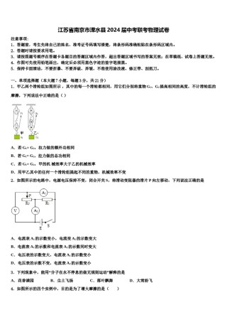 江苏省南京市溧水县2024届中考联考物理试卷含解析.doc