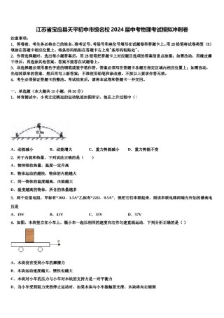 江苏省宝应县天平初中市级名校2024届中考物理考试模拟冲刺卷含解析.doc