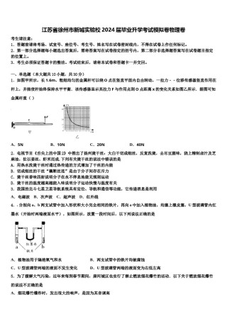 江苏省徐州市新城实验校2024届毕业升学考试模拟卷物理卷含解析.doc