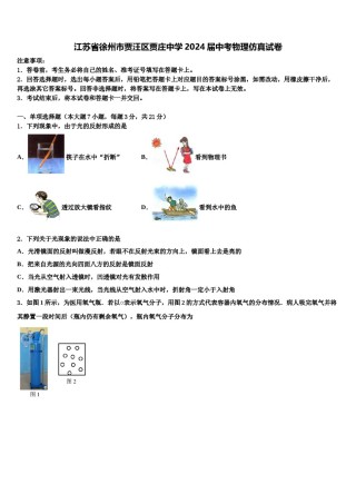 江苏省徐州市贾汪区贾庄中学2024届中考物理仿真试卷含解析.doc
