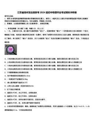 江苏省扬州宝应县联考2024届初中物理毕业考试模拟冲刺卷含解析.doc