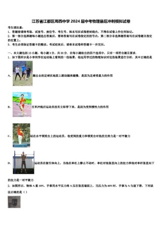 江苏省江都区周西中学2024届中考物理最后冲刺模拟试卷含解析.doc