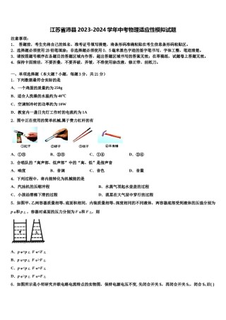江苏省沛县2023-2024学年中考物理适应性模拟试题含解析.doc